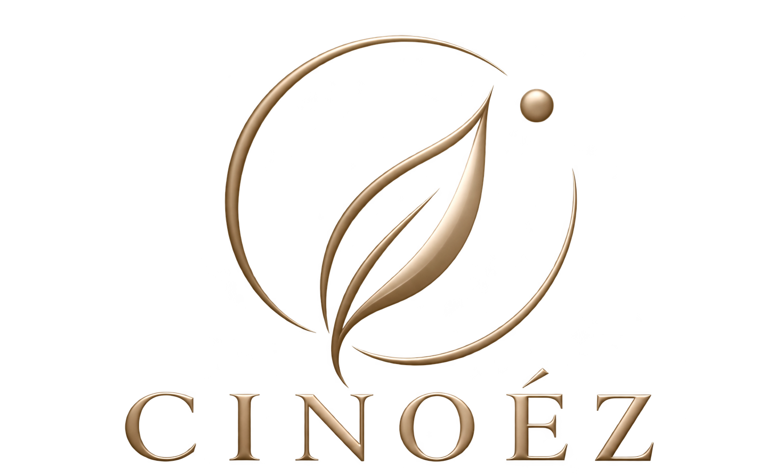 cropped logo 2.png